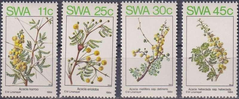 Stamps SWA 1984 Acacias in Spring