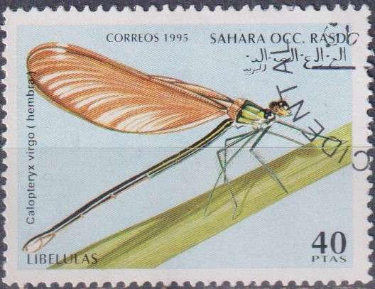 Stamp Thematic Insects