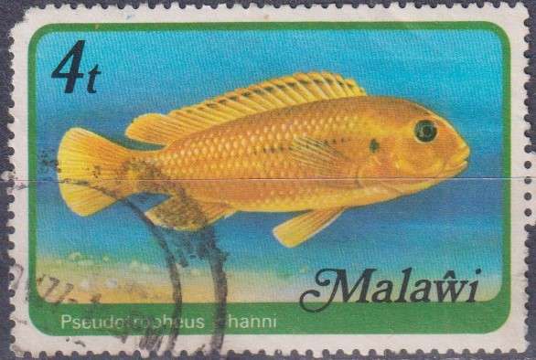 Stamp Thematic Fish