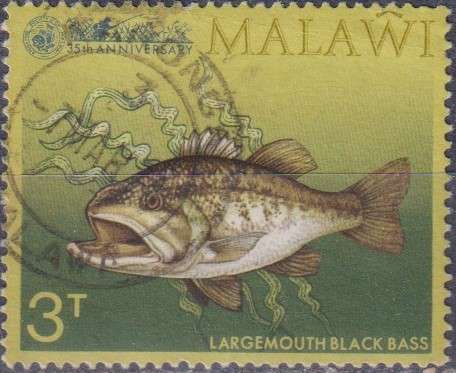Stamp Thematic Fish
