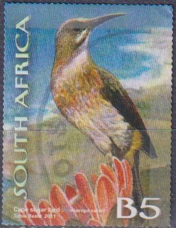 Stamp Thematic Birds