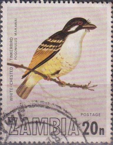 Stamp Thematic Birds