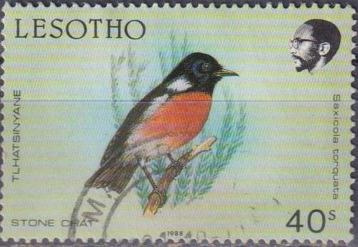 Stamp Thematic Birds