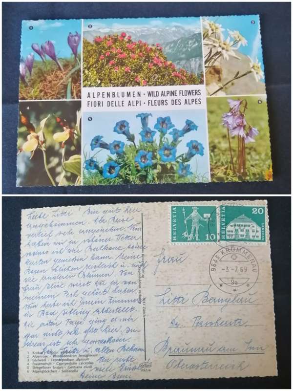 Post Cards / Maxi Card used