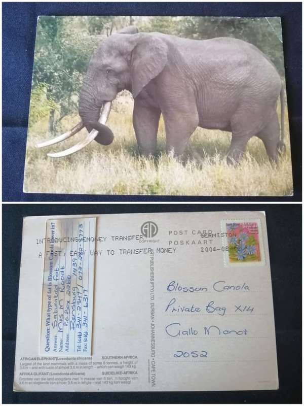Post Cards / Maxi Card used