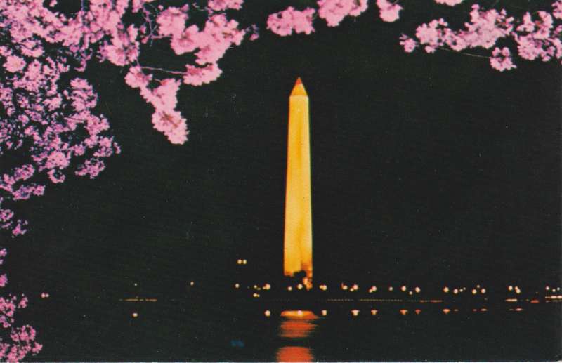 Post Cards / Maxi Card Not used