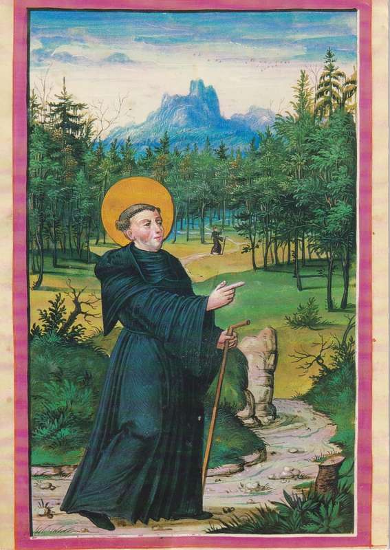 Post Cards / Maxi Card Not used