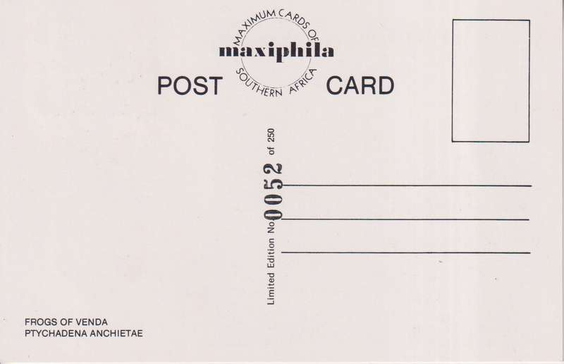 Post Cards / Maxi Card / Postal History