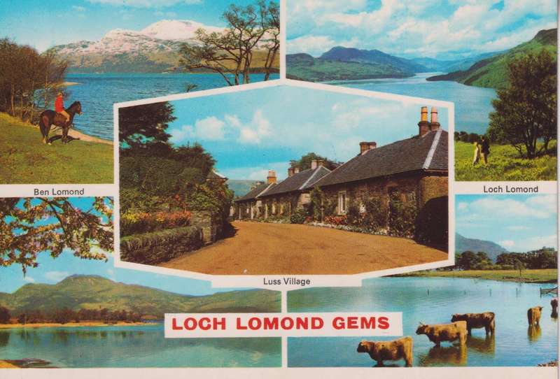 Post Cards / Maxi Card