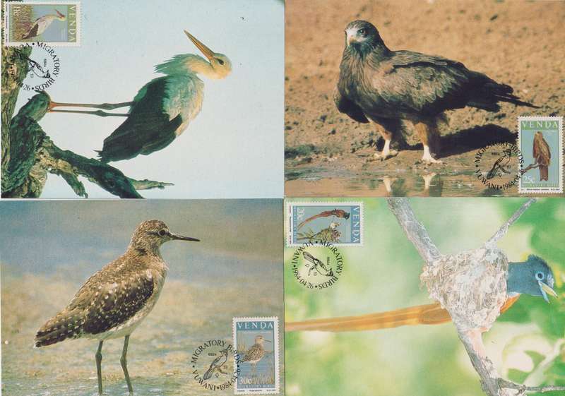 Maxi Cards Set of 4 Venda 1984 Migratory Birds