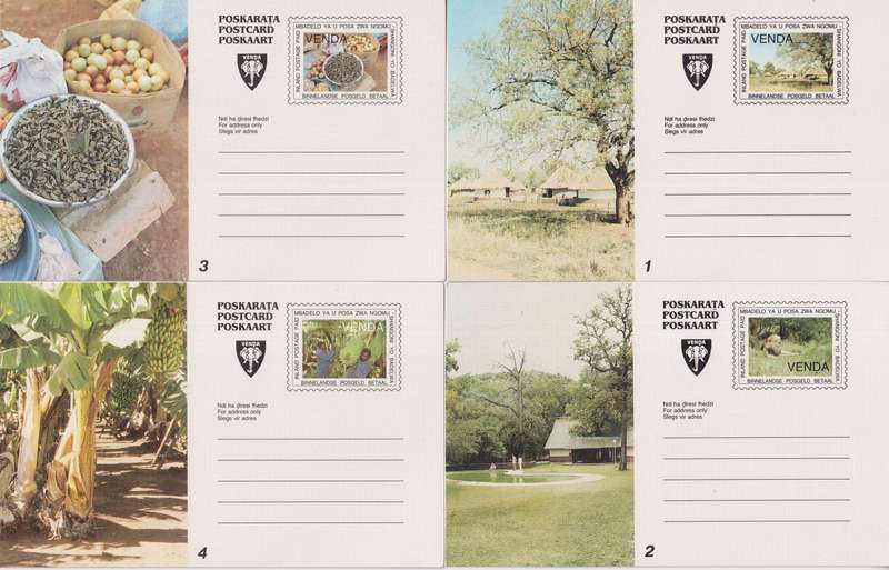 Maxi Cards Venda Set of 8