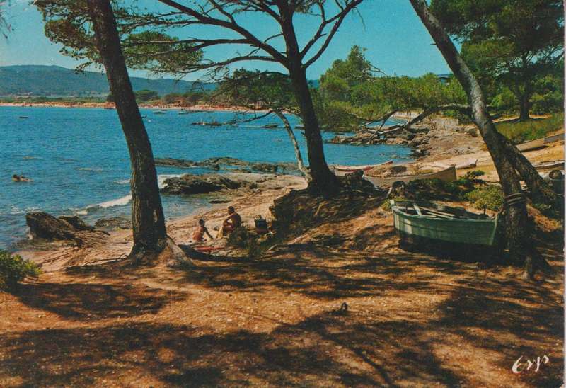 Post Cards / Maxi Card / Postal History