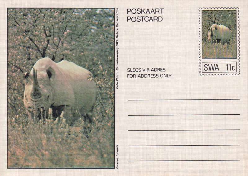 Post Card / Maxi Card