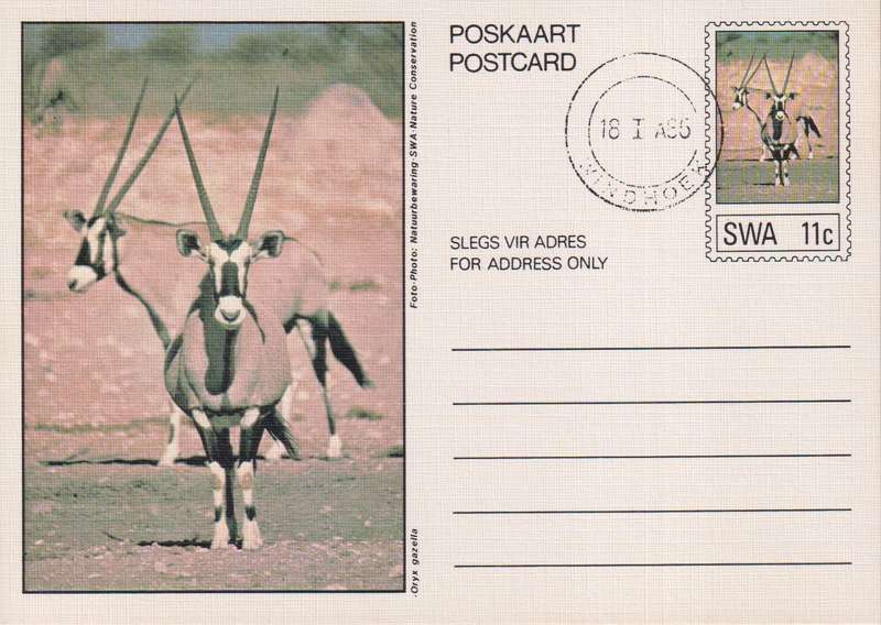 Post Card / Maxi Card