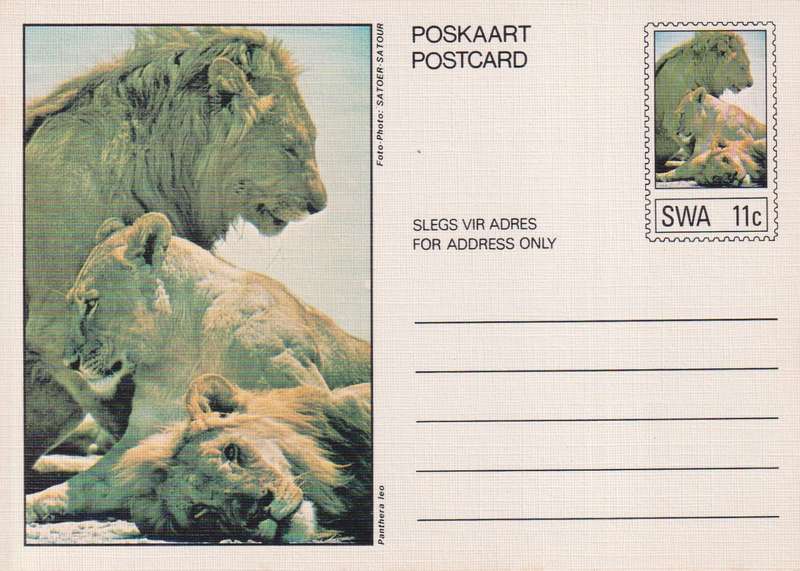 Post Card / Maxi Card