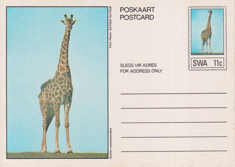 Post Card / Maxi Card