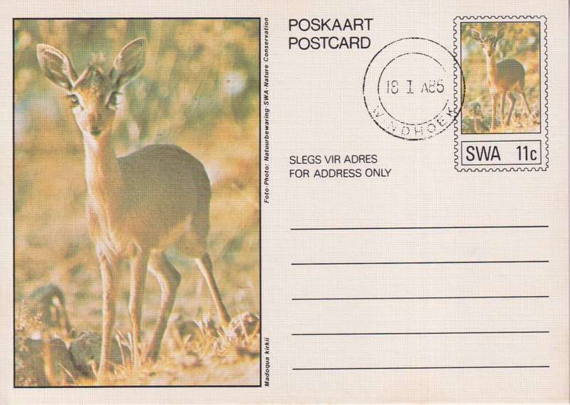 Post Card / Maxi Card