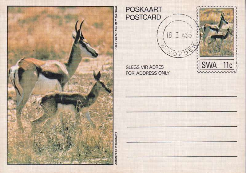 Post Card / Maxi Card