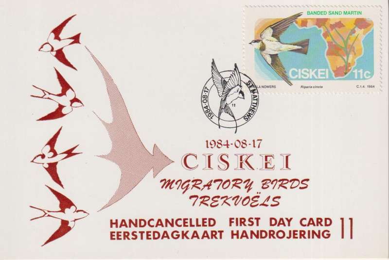 Post Card / Maxi Card