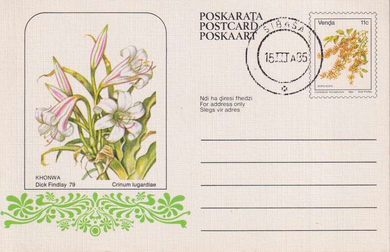 Post Card / Maxi Card