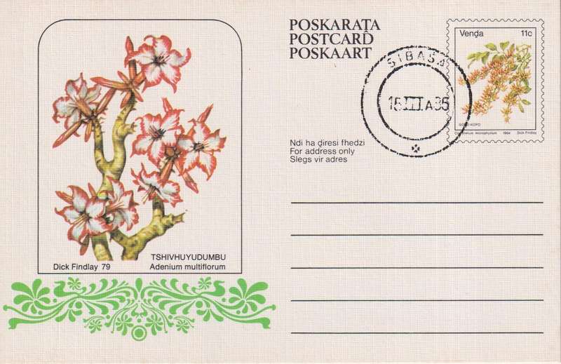 Post Card / Maxi Card