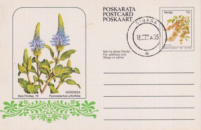 Post Card / Maxi Card