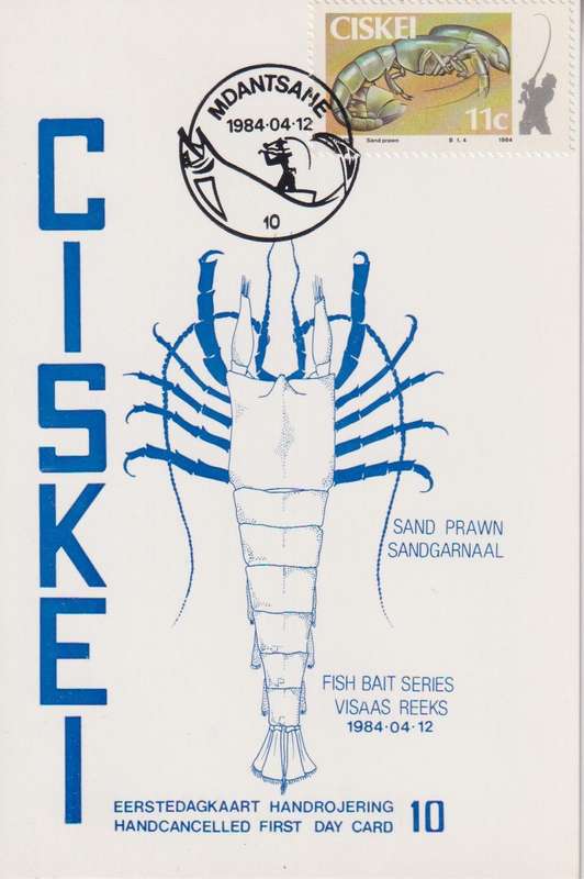 Post Card / Maxi Card