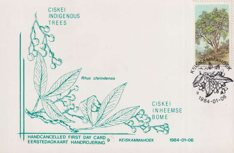 Post Card / Maxi Card
