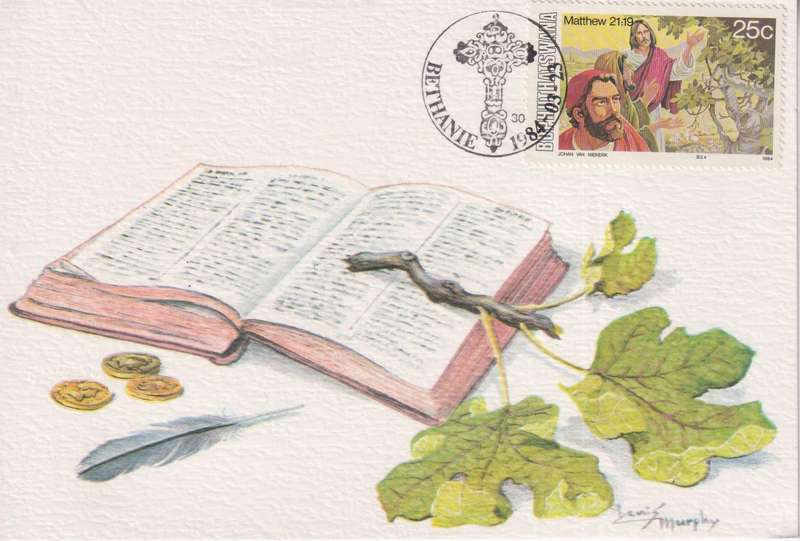 Post Card / Maxi Card