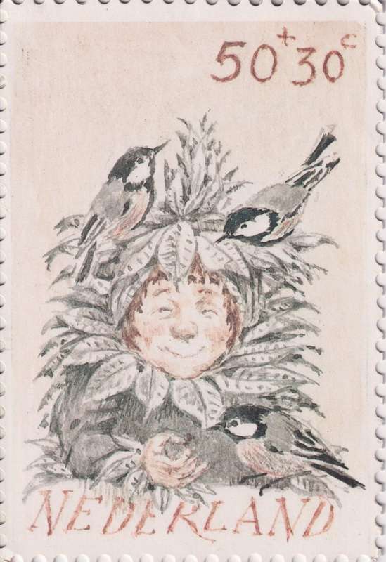 Post Cards / Maxi Card Not used