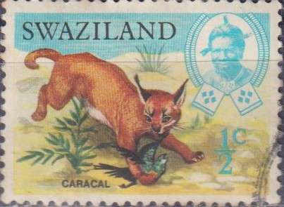 Stamp Thematic Animals