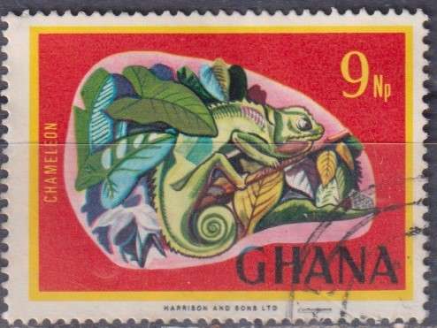 Stamp Thematic Animals