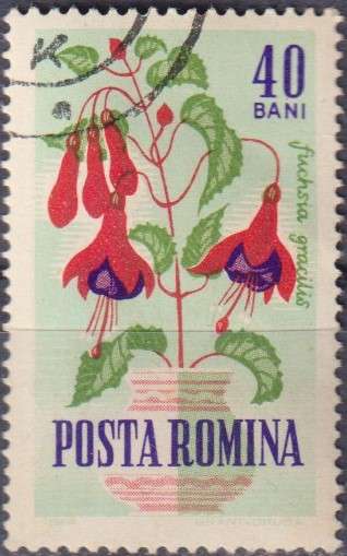 Stamps Thematic Flowers