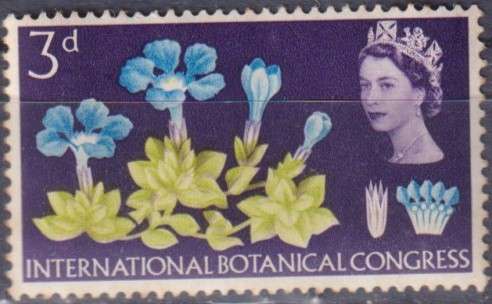 Stamps Thematic Flowers