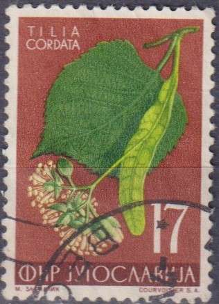 Stamps Thematic Flowers
