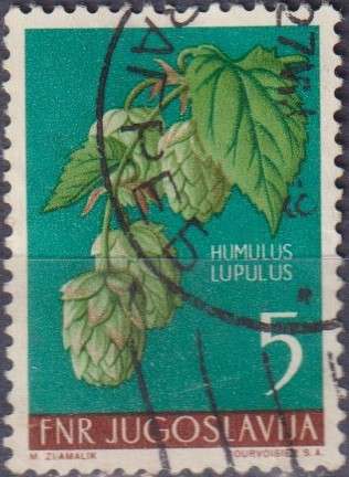 Stamps Thematic Flowers