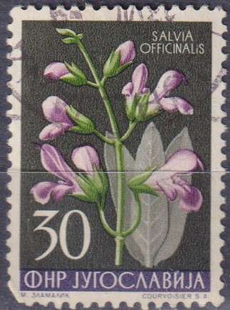 Stamps Thematic Flowers