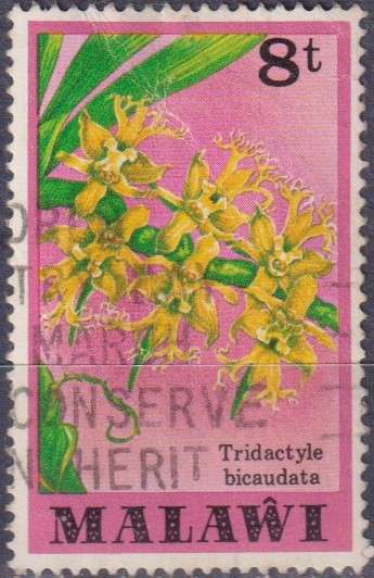 Stamps Thematic Flowers