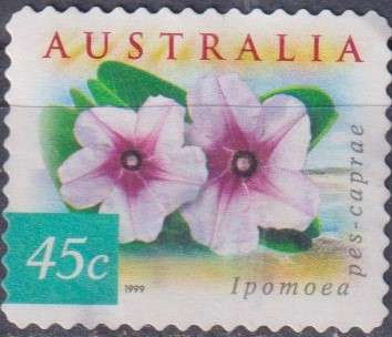 Stamp Thematic Flowers