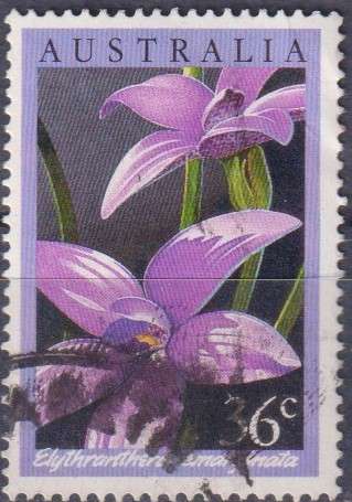 Stamp Thematic Flowers