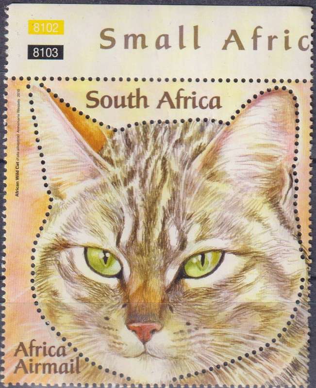 Stamp Mix World Card