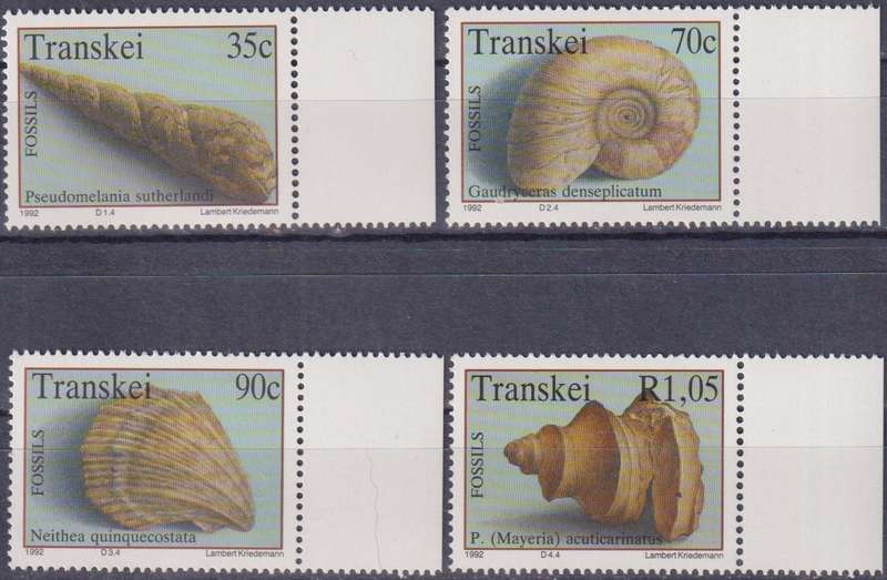 Stamp Control Blocks Transkei 1992 Fossil Shellfish