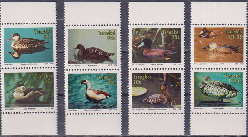 Stamp Control Blocks Transkei 1992 Waterbirds