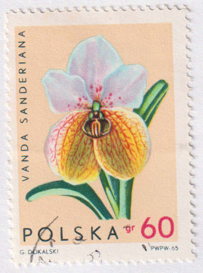 Stamp Thematic Flowers ULM Poland