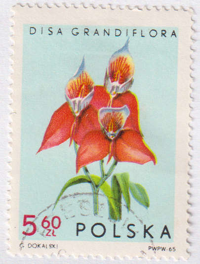 Stamp Thematic Flowers ULM Poland