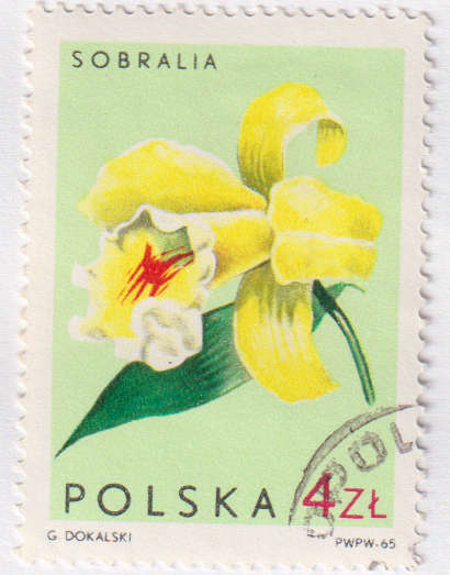 Stamp Thematic Flowers ULM Poland