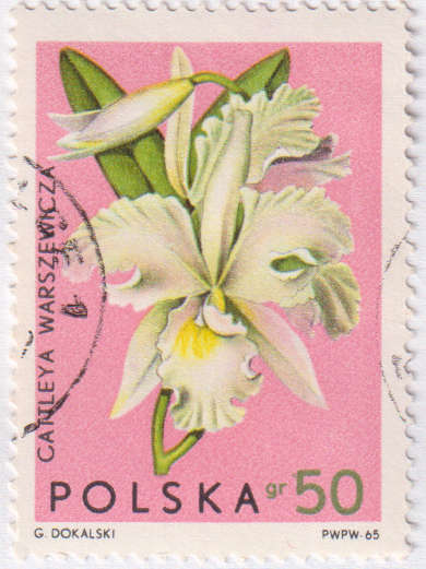 Stamp Thematic Flowers ULM Poland