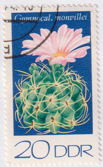 Stamp Thematic Flowers ULM DDR