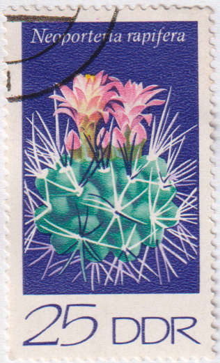 Stamp Thematic Flowers ULM DDR