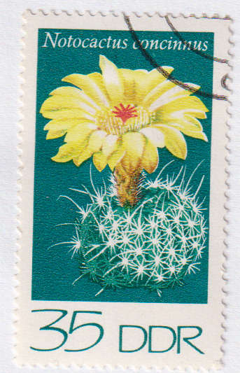 Stamp Thematic Flowers ULM DDR